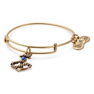 Anchor Alex and Ani